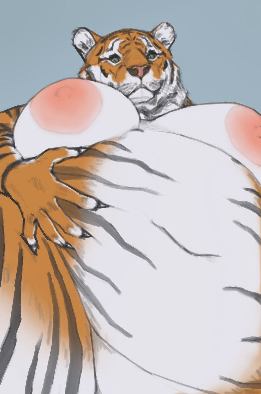 anthro areola belly belly_grab big_areola big_belly big_breasts breasts curvy_figure female fur looking_at_viewer nipples nude obese overweight simple_background solo thick_thighs voluptuous wide_hips thiccomode felid mammal pantherine tiger absurd_res hi_res