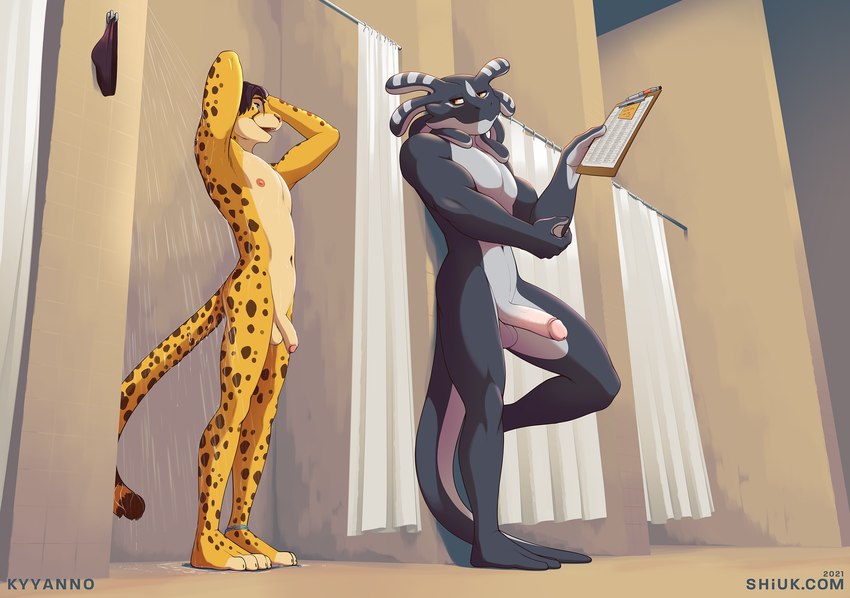 anthro balls casual_erection casual_nudity clipboard duo erection genitals holding_clipboard holding_object humanoid_genitalia humanoid_penis male male/male penis shower shower_room size_difference social_nudity text shiuk kyyanno shiuk_(character) amphibian cheetah felid feline mammal salamander hi_res url