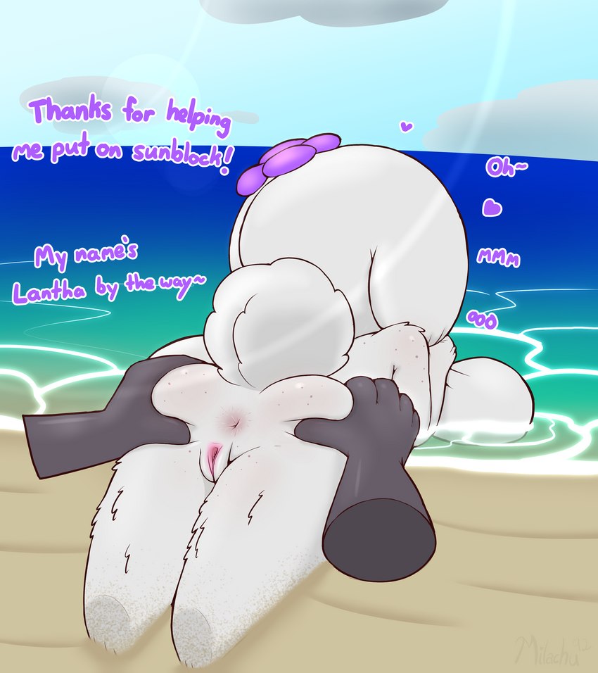 anthro anus beach butt butt_grab detailed_background dialogue disembodied_penis duo female flower fur genitals hand_on_butt heart_symbol holding_both_ears lying male male/female nude on_front outside penis plant public public_nudity pussy sand seaside semi-anthro spread_anus spread_butt spread_pussy spreading sunscreen text white_body white_fur y_anus young young_anthro milachu92 lantha lagomorph leporid mammal rabbit 2021 absurd_res english_text hi_res adult_(lore)