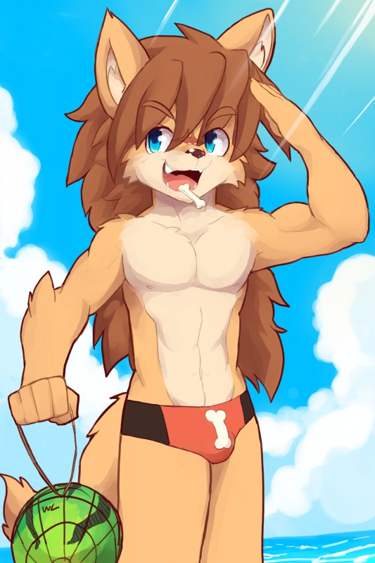 abs anthro athletic beach biceps bulge clothed clothing facial_scar front_view gesture hair holding_object long_hair male muscular muscular_anthro muscular_male navel open_mouth pecs salute scar seaside skimpy smile solo speedo standing swimwear topless whiteleo cyberconnect2 little_tail_bronx solatorobo red_savarin canid canine caninu canis domestic_dog mammal shiba_inu spitz 2:3 absurd_res hi_res signature