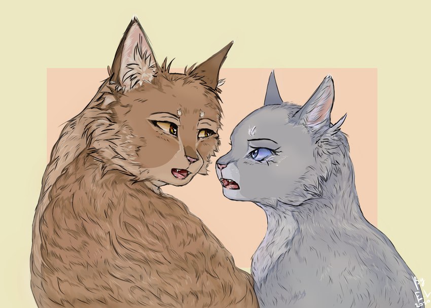 blue_eyes brown_body brown_fur canon_couple cheek_tuft detailed_fur duo eye_contact eyebrows facial_tuft fangs female feral fluffy_ears fur grey_body grey_fur looking_at_another male male/female open_mouth simple_background teeth tuft hysteriana warriors_(book_series) bluestar_(warriors) oakheart_(warriors) domestic_cat felid feline felis mammal tabby_cat ticked_tabby wild_cat detailed