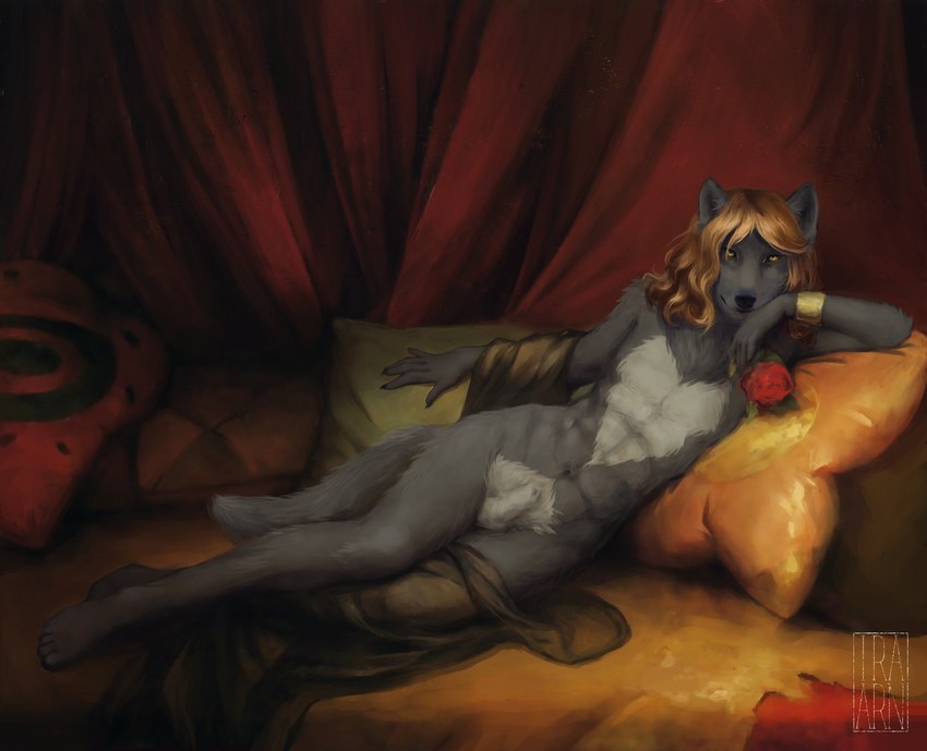 animal_genitalia anthro balls biped detailed_background flower fully_sheathed fur genitals grey_body grey_fur hair inside looking_at_viewer lying male navel nude on_side pillow plant pose rose_(flower) sheath silk solo yellow_eyes ira-arn canid canine canis mammal wolf 2019 hi_res