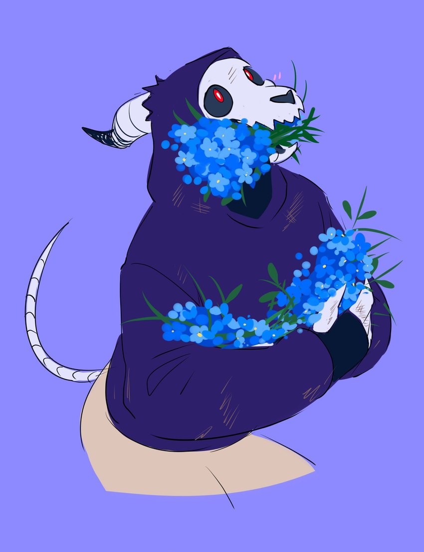 anthro blue_flower blush blush_lines bone bottomwear clothing flower holding_object holding_with_teeth hoodie horn horn_through_clothing looking_up male open_mouth open_smile plant purple_background purple_clothing purple_hoodie purple_topwear red_eyes scratch_mark simple_background skull skull_head smile solo tail topwear conop-8888 2024 digital_drawing_(artwork) digital_media_(artwork) hi_res