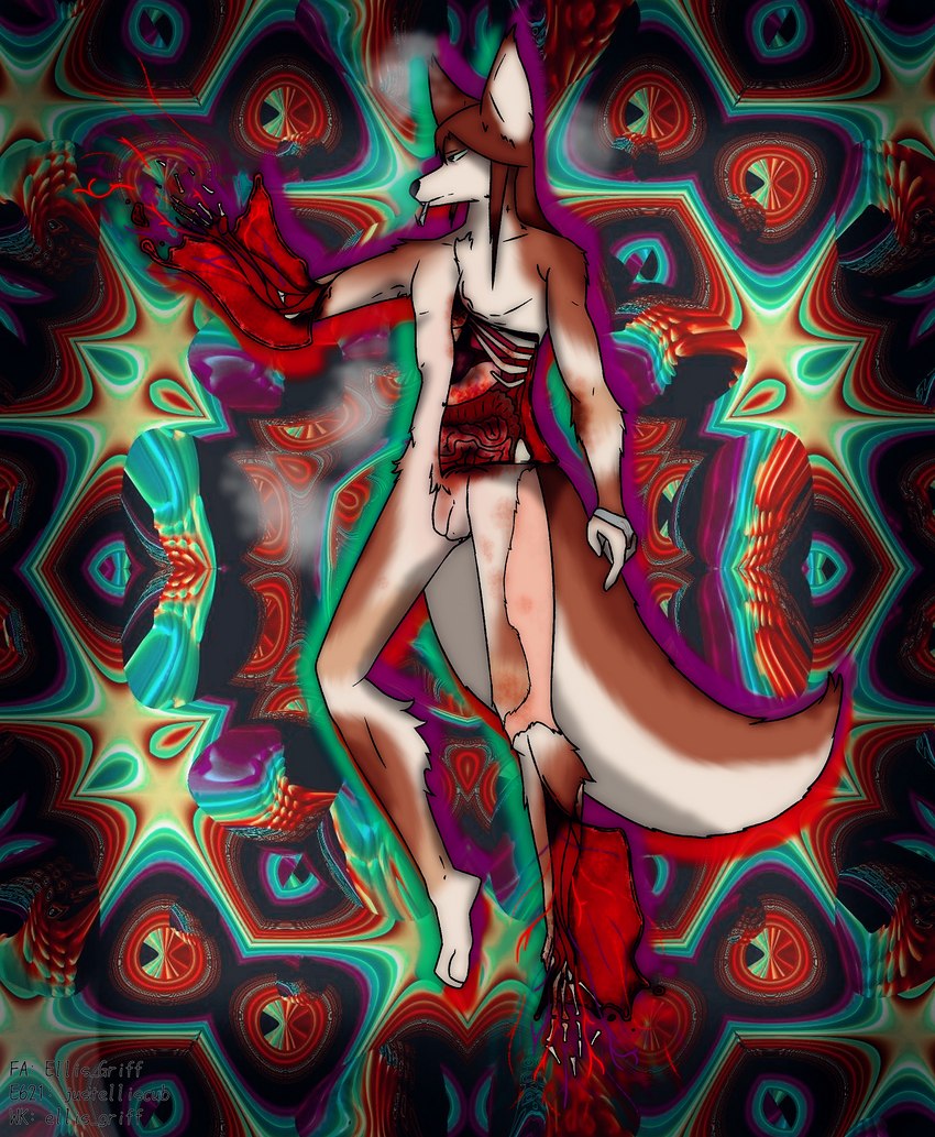 abstract_background anthro blood blood_splatter bodily_fluids bodily_fluids_on_penis exposed_bone exposed_organs genitals gore gore_focus hair male penis psychedelic psychedelic_background solo vivisection what justelliscub canid canine canis mammal wolf 2023 absurd_res hi_res