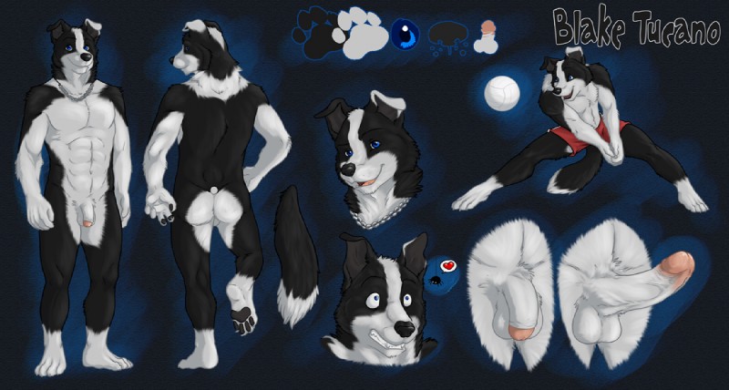 abs anthro backsack ball balls biceps big_muscles big_penis biped black_background black_body black_fur black_nose blue_eyes bottomwear butt chain clothed clothing erection flaccid foreskin fur fur_markings genitals heart_symbol humanoid_genitalia humanoid_penis jewelry leg_markings looking_at_viewer male markings multicolored_body multicolored_fur muscular muscular_anthro muscular_male necklace nude open_mouth open_smile partially_retracted_foreskin pecs penis retracted_foreskin scared shorts simple_background smile socks_(marking) solo sport tail text topless two_tone_body two_tone_fur vein volleyball white_body white_fur eclipticafusion tucpile blake_tucano arachnid arthropod border_collie canid canine canis collie domestic_dog herding_dog mammal pastoral_dog sheepdog spider 2011 character_name model_sheet