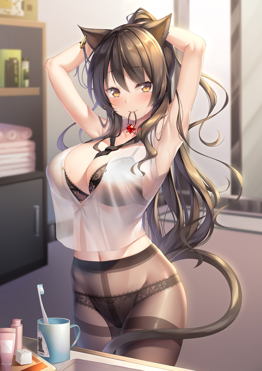 bathroom big_breasts blush bra bra_through_clothing breasts brown_hair brush clothing female hair hand_behind_head legwear lingerie long_hair object_in_mouth smile solo stockings toothbrush translucent translucent_clothing underwear meion arknights hypergryph studio_montagne skyfire_(arknights) animal_humanoid cat_humanoid felid felid_humanoid feline feline_humanoid humanoid mammal mammal_humanoid 2019 absurd_res hi_res