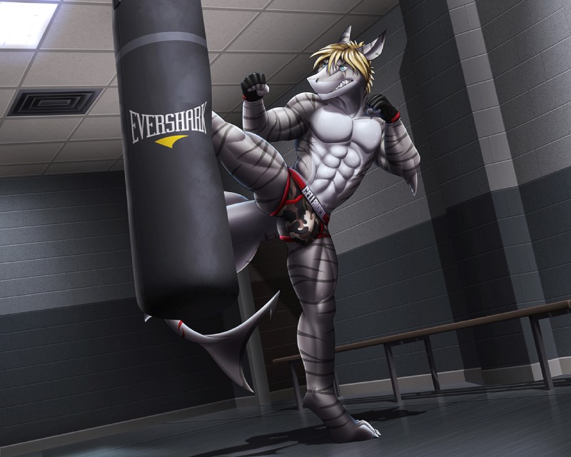 abs action_pose anthro biceps blue_eyes bodily_fluids boxer_briefs bulge clothed clothing countershading exercise hair kick kickboxing male mixed_martial_arts muscular muscular_anthro muscular_male pecs pose punching_bag solo spread_legs spreading sweat teeth topless training underwear dream_and_nightmare skye_(shark7) fish marine shark 2016 5:4