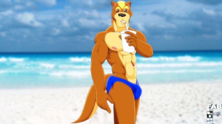 5_fingers abs anthro beach biped black_nose blue_clothing blue_speedo blue_swimwear blurred_background brown_body brown_fur bulge clothed clothing cloud container cup day drinking drinking_straw fingers fur holding_container holding_cup holding_object humanoid_hands looking_at_viewer male muscular muscular_anthro muscular_male navel nipples outside pink_inner_ear pink_nipples sand sea seaside sky solo speedo speedo_only standing swimwear tail tan_body tan_fur topless water yellow_body yellow_fur fabfelipe mammal mustelid otter 2012 portrait three-quarter_portrait