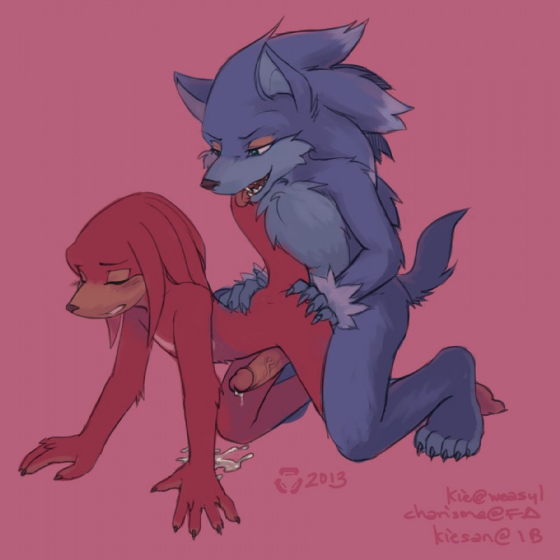 knuckles the echidna, sonic the hedgehog, and sonic the werehog (sonic the hedgehog (series) and etc) created by kiesan