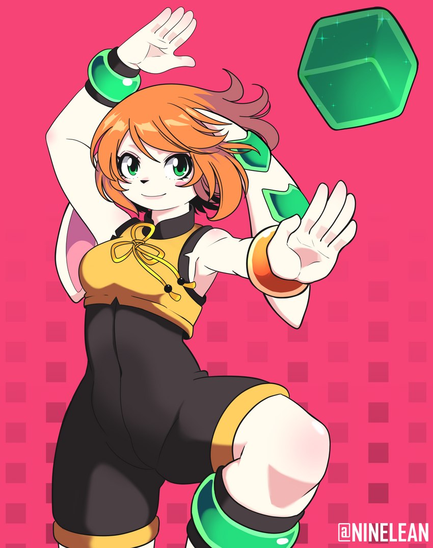 milla basset (freedom planet and etc) created by ninelean