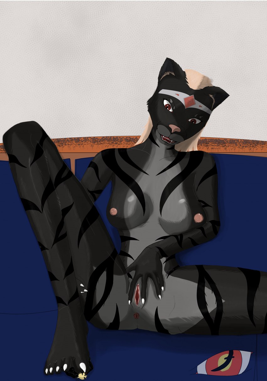 anthro anus black_body black_fur breasts butt duo extreme_size_difference female fur genitals male male/female micro nude pussy sitting size_difference spread_pussy spreading under_foot blackreaper_bk201 microsoft the_elder_scrolls blackreaper schnurrt_beim_knuddeln felid khajiit mammal hi_res