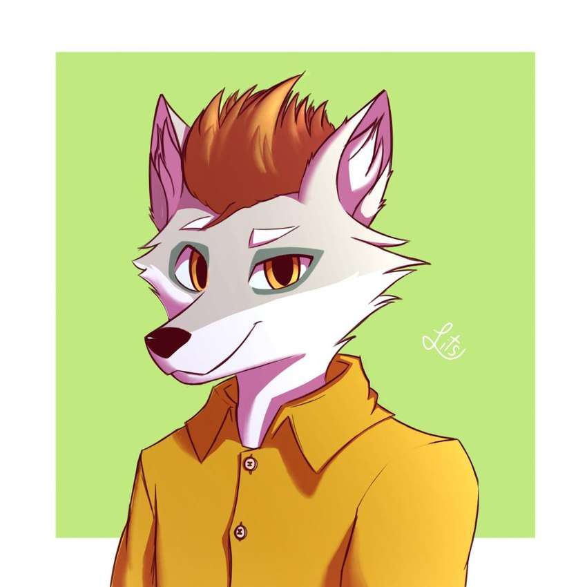 anthro clothed clothing fur grey_body grey_fur hair looking_at_viewer male simple_background solo white_body yellow_eyes litsi canid canine canis mammal wolf 1:1 2020 digital_drawing_(artwork) digital_media_(artwork)