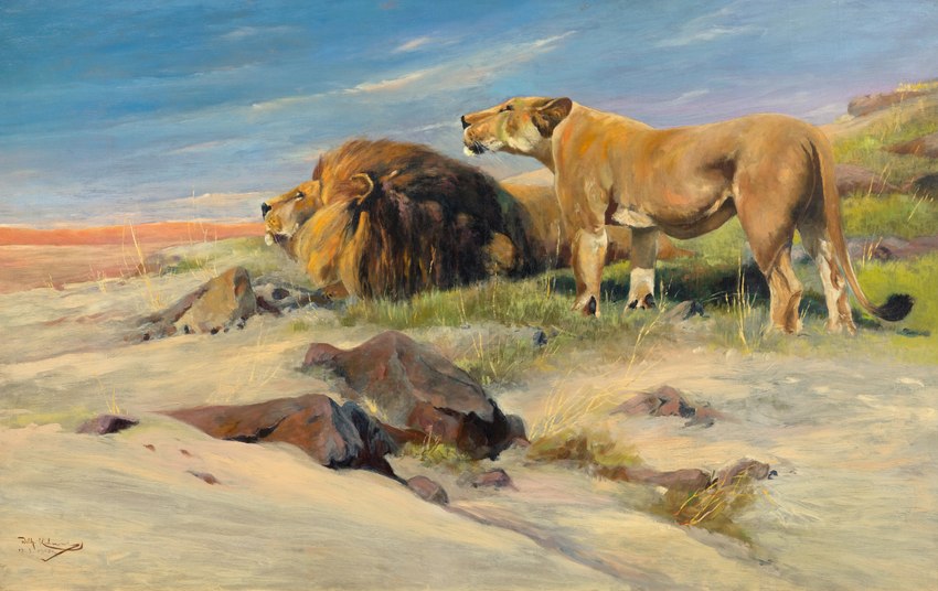 brown_body brown_fur day duo female feral fur grass male mane outside plant quadruped tail friedrich_wilhelm_kuhnert public_domain felid lion mammal pantherine 1905 20th_century absurd_res ancient_art dated hi_res oil_painting_(artwork) painting_(artwork) signature traditional_media_(artwork)