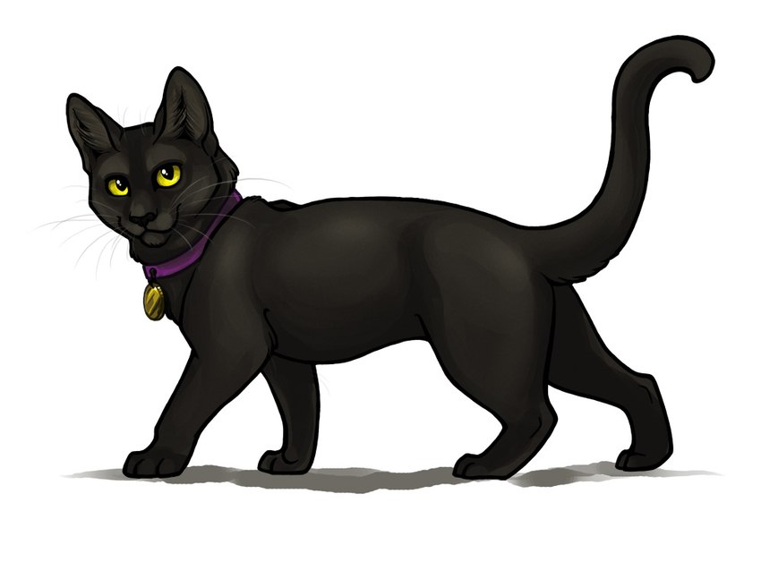 3_toes black_body black_fur black_nose black_tail closed_smile collar collar_tag feet female female_feral feral fur light looking_at_viewer mouth_closed paws pose purple_collar quadruped simple_background smile smiling_at_viewer solo standing tail toes whiskers white_background yellow_eyes lyosha juliet_the_cat domestic_cat felid feline felis mammal 2009 colored digital_drawing_(artwork) digital_media_(artwork) english_description lighting shaded