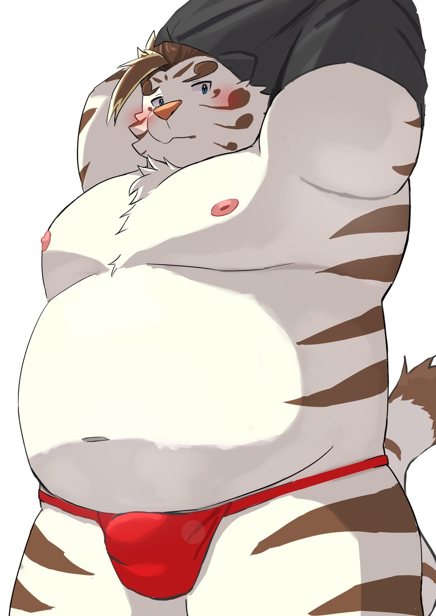 anthro asian_clothing belly big_belly blush clothing east_asian_clothing fundoshi japanese_clothing kemono male moobs nipples overweight overweight_male red_clothing red_fundoshi red_underwear simple_background solo underwear undressing white_background white_body 9dtq0 lifewonders tokyo_afterschool_summoners licho_(tas) felid mammal pantherine tiger 2023 absurd_res hi_res