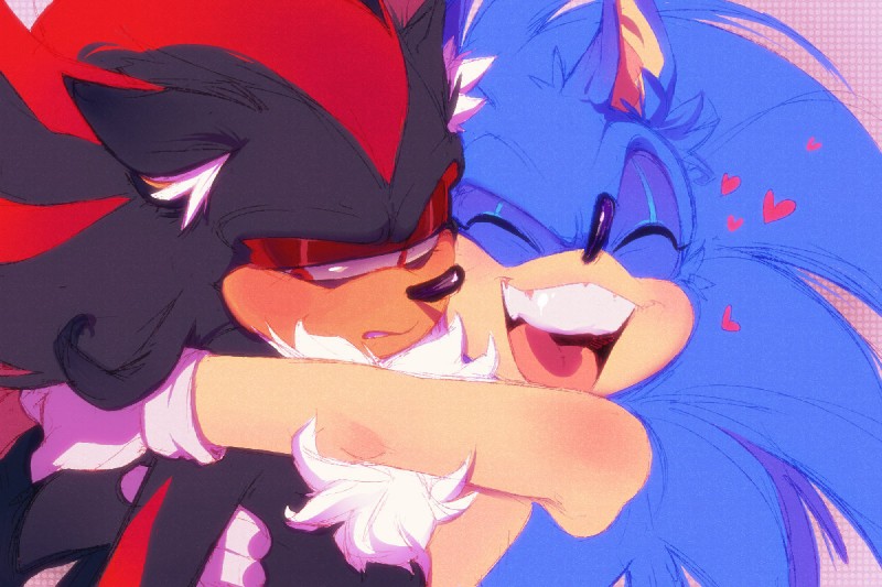 anthro clothing duo fur gloves handwear male toony vani sega sonic_the_hedgehog_(series) shadow_the_hedgehog sonic_the_hedgehog eulipotyphlan hedgehog mammal 2017 3:2