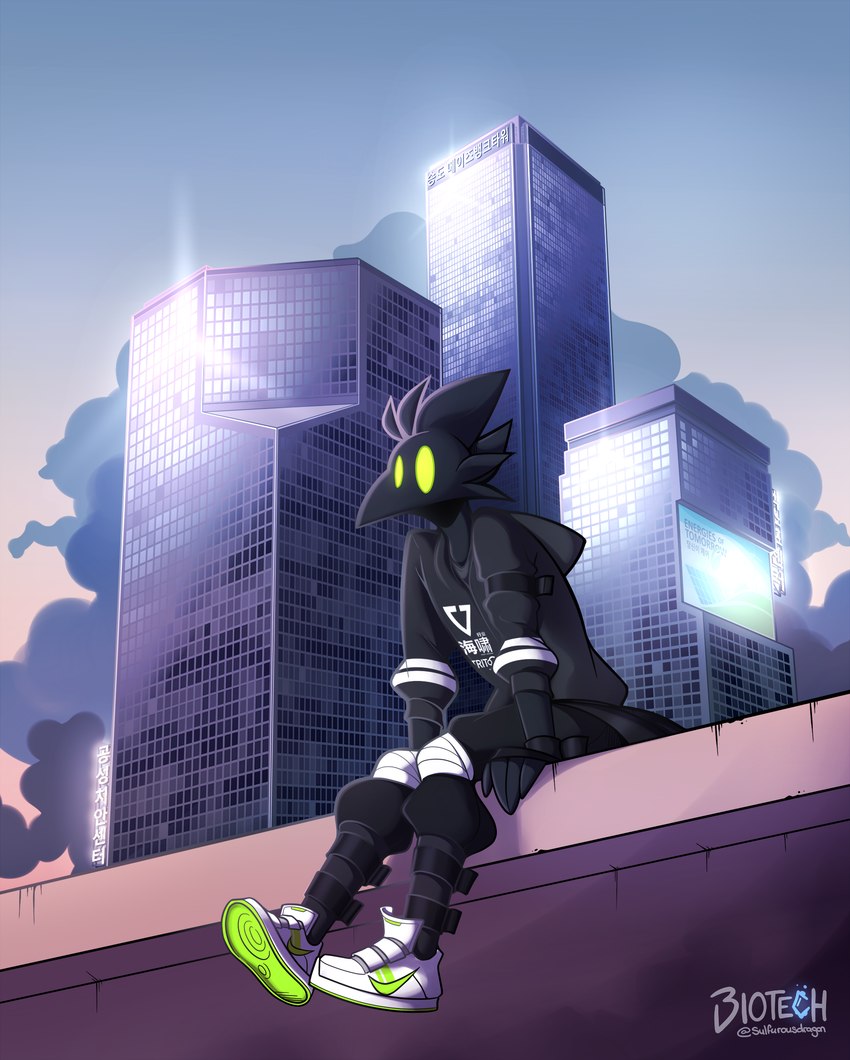anthro beak black_body black_bottomwear black_clothing black_fingerless_gloves black_gloves black_handwear black_hoodie black_pants black_topwear bottomwear building cheek_tuft cjk_character clothed clothing cloud day detailed_background empty_eyes facial_tuft fingerless_gloves fingers footwear front_view fully_clothed gloves green_eyes grey_clothing grey_shirt grey_topwear handwear hoodie male outside pants shadow shirt shoes sign sitting skyscraper sneakers solar_panel streetwear techwear text text_on_clothing text_on_hoodie text_on_topwear three-quarter_view topwear tuft white_clothing white_footwear white_shoes white_sneakers phosphoruscrow nike ryze_(phosphoruscrow) 2023 absurd_res digital_media_(artwork) english_text full-length_portrait hi_res korean_text portrait shaded signature soft_shading