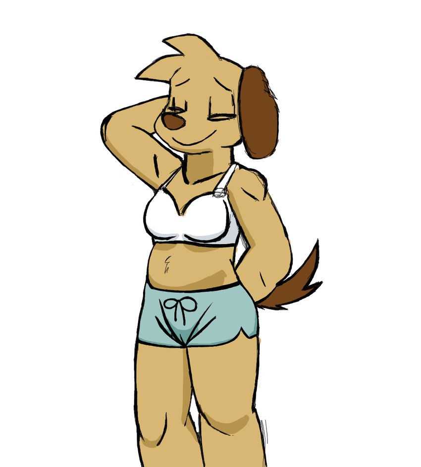 anthro athletic_wear bottomwear bra brown_body camel_toe clothed clothing crossgender dolphin_shorts eyes_closed female floppy_ears gym_bottomwear gym_shorts hand_behind_head hands_behind_back head_tuft mtf_crossgender shorts simple_background slightly_chubby smile standing tuft underwear white_background bitalie housepets! bino_(housepets!) bird_dog canid canine canis domestic_dog hunting_dog mammal