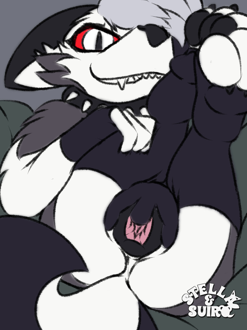 animal_genitalia animal_vulva anthro bedding bedding_background big_ears big_tail black_body black_claws black_collar black_ears black_fur black_nose black_pawpads black_tail black_vulva canine_genitalia canine_vulva cheek_tuft claws clothing collar countershading facial_tuft fangs feet female fingering fur genitals grey_body grey_fur grin grinning_at_viewer legs_up legwear looking_at_viewer lying masturbation mohawk multicolored_body multicolored_fur on_back pawpads paws presenting presenting_vulva red_sclera smile smiling_at_viewer solo spiked_collar spikes spread_vulva spreading stockings tail teeth thigh_highs tuft two_tone_body two_tone_fur vaginal vaginal_fingering vaginal_masturbation vulva white_body white_countershading white_eyes white_fur white_inner_ear white_tail suiro hellaverse helluva_boss mythology loona_(helluva_boss) canid canid_demon canine demon hellhound mammal mythological_canine mythological_creature 3:4 absurd_res hi_res