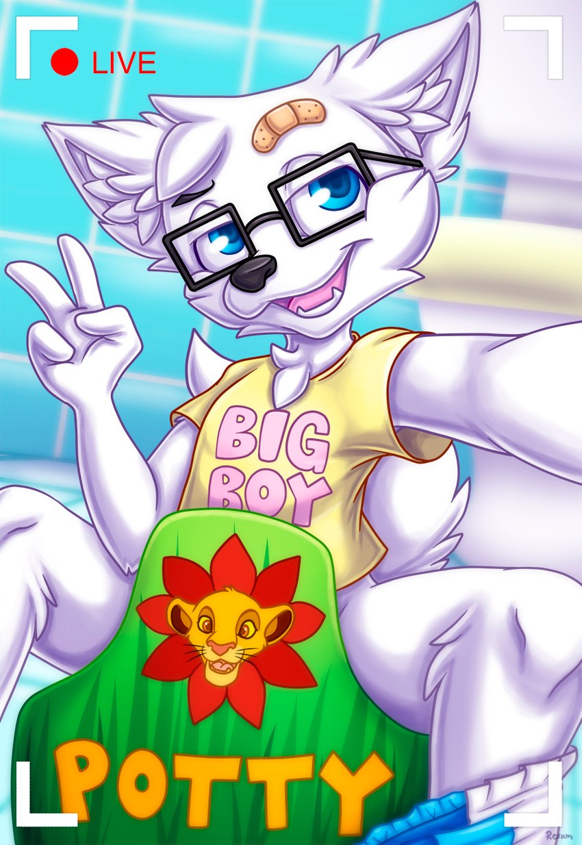 ageplay anthro arm_outstretched bandage bathroom bow_legged clothing diaper diaper_around_ankles diaper_down eyewear fur glasses implied_pooping infantilism potty recording roleplay sitting solo taking_picture taking_selfie white_body white_fur rexam-1 disney the_lion_king simba_(the_lion_king) arctic_fox canid canine fox mammal true_fox hi_res