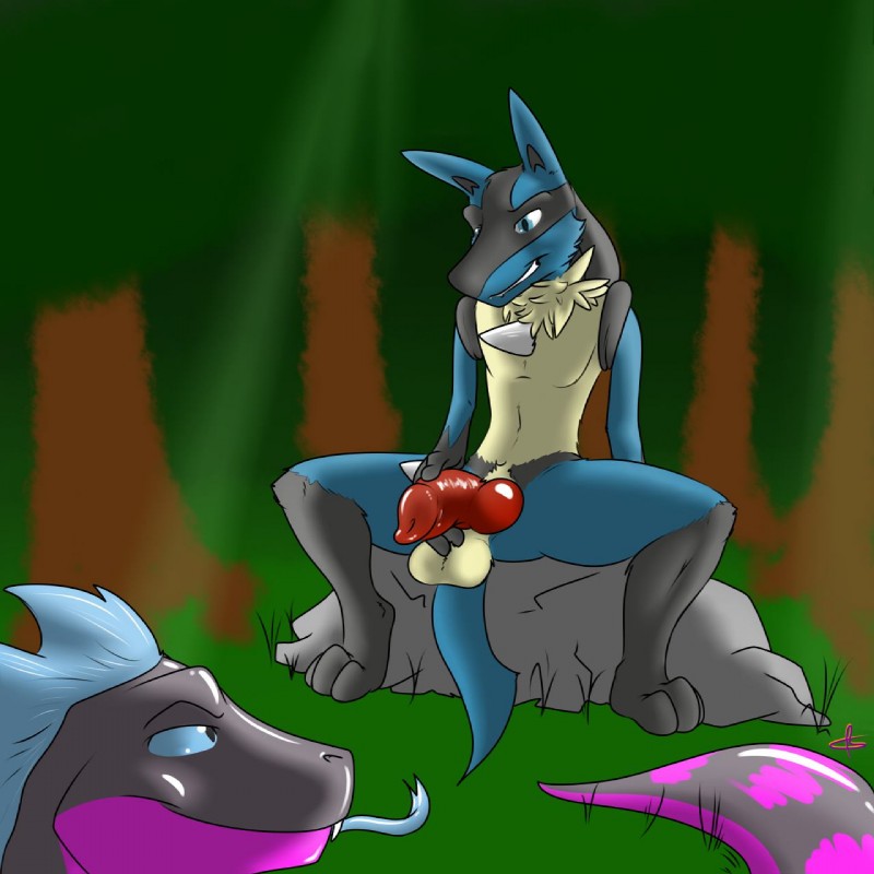 anthro blue_eyes duo erection forest genitals grin knot male outside penis plant presenting smile spread_legs spreading tail tree kotetsu_rexen nintendo pokemon lionel_aurastar rufus_(kotetsu) canid canine generation_4_pokemon lucario mammal pokemon_(species) 1:1 hi_res