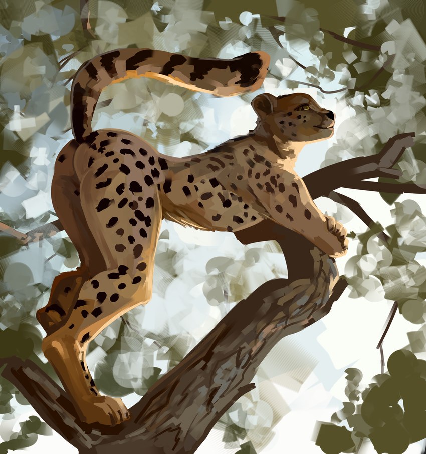 ambiguous_gender anthro bent_over black_nose butt claws feet finger_claws fur in_tree looking_at_viewer looking_down looking_down_at_viewer low-angle_view markings nude paws plant pupils slit_pupils solo spots spotted_body spotted_fur tan_body tan_fur toe_claws tree yellow_eyes kelkessel cheetah felid feline mammal 2023 absurd_res hi_res