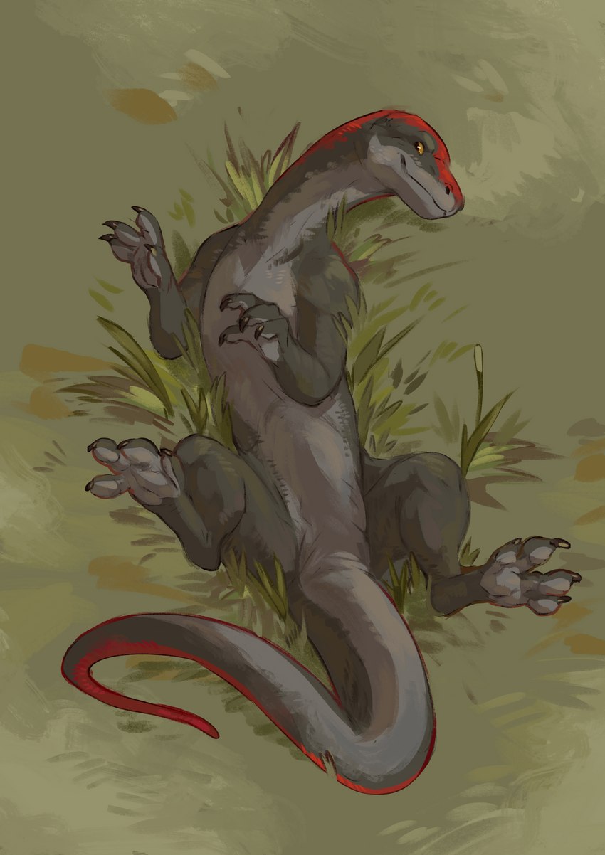 4_toes ambiguous_gender black_body black_claws black_scales claws feet feral finger_claws grass grey_body grey_scales legs_in_air looking_back lying on_back outside pawpads paws plant red_body red_scales scales smile solo spread_legs spreading tail toe_claws toes yellow_eyes babanasaur mythology riven_(atrumpet) dragon mythological_creature mythological_scalie scalie wingless_dragon 2023 absurd_res hi_res female_(lore)