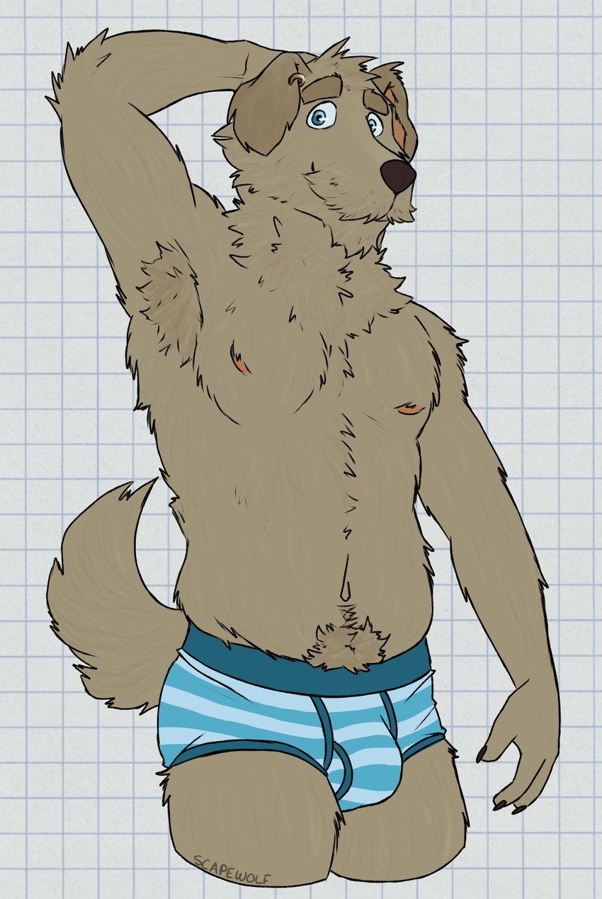 anthro armpit_hair belly biped blue_briefs blue_clothing blue_eyes blue_underwear body_hair briefs briefs_only brown_body brown_claws brown_eyebrows brown_fur brown_nose bulge checkered checkered_background claws clothed clothing ear_piercing eyebrows floppy_ears fur hand_behind_head happy_trail looking_at_viewer male male_anthro multicolored_body multicolored_clothing multicolored_underwear navel neck_tuft nipples orange_nipples partially_clothed partially_clothed_male pattern_background pattern_clothing pattern_underwear piercing pink_inner_ear raised_arm short_tail simple_background slightly_chubby slim smile solo standing striped_clothing striped_underwear stripes tail topless tuft underwear underwear_only white_background white_sclera unsafescapewolf dawntide ranzo_(dawntide) canid canine canis domestic_dog hunting_dog irish_wolfhound mammal sighthound 2024 digital_drawing_(artwork) digital_media_(artwork) hi_res portrait three-quarter_portrait