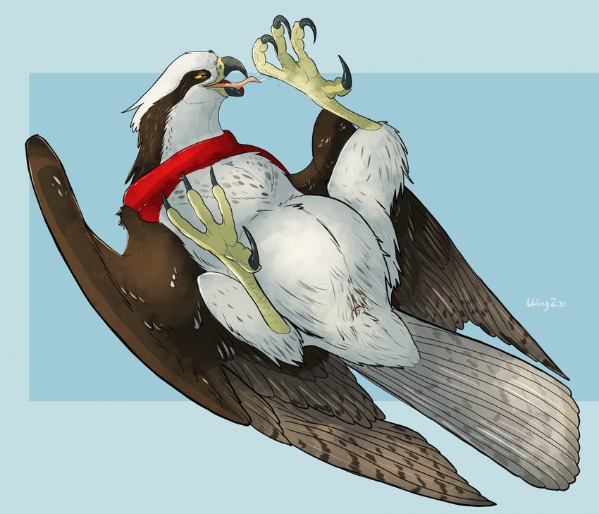 ambiguous_gender animal_genitalia avian_butt beak brown_body brown_feathers cloaca feathers feral genitals lying on_back red_scarf scarf simple_background solo tail tail_feathers white_body white_feathers wingz31 lurk_(wingz31) accipitriform avian bird osprey 2024 hi_res herm_(lore)