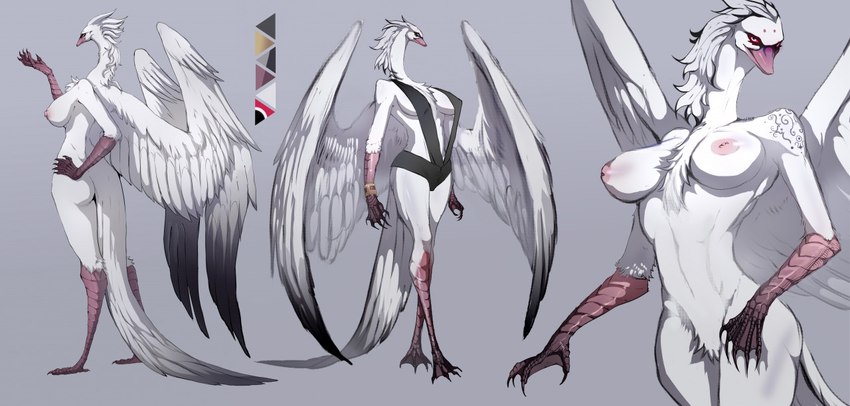 anthro areola beak big_breasts breasts chest_tuft clothed clothing feathered_wings feathers feet female long_neck long_tail membrane_(anatomy) nipples non-mammal_breasts nude partially_clothed red_eyes skimpy slim solo tail tail_feathers toes tuft webbed_feet webbed_hands white_body white_feathers wings hurman anatid anseriform anserinae avian bird swan