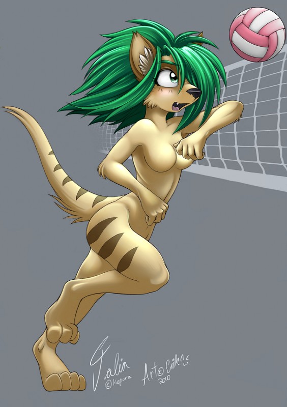 ball black_nose blush breasts brown_body brown_fur casual_nudity fangs featureless_breasts female fur green_eyes green_hair grey_background hair inner_ear_fluff long_hair naturally_censored net nude open_mouth simple_background solo sport stripes tail teeth tuft volleyball volleyball_(ball) volleyball_net mokabur talia_(kepora) dasyuromorph mammal marsupial recently_extinct_species thylacine 2010 hi_res