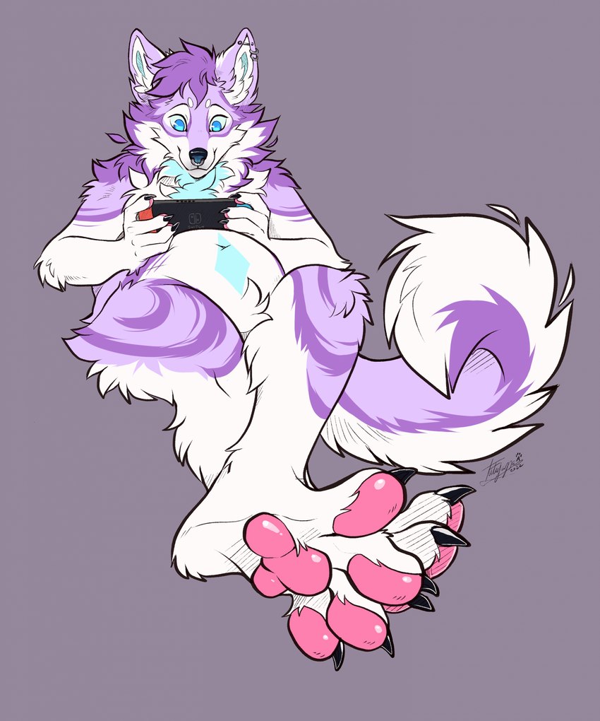 anthro blue_eyes feet foot_focus fur lying male nude on_back pawpads paws pink_pawpads purple_body purple_fur slightly_chubby soles solo tatujapa nintendo nintendo_switch azzy_(xenonwolf) canid canine canis domestic_dog husky mammal nordic_sled_dog spitz hi_res signature