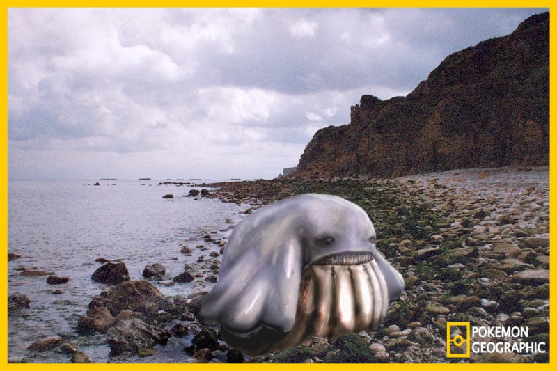 ambiguous_gender border cloud creepy outside rock sand sea sky solo water yellow_border izzatakiwa national_geographic nintendo pokemon pokemon_geographic generation_3_pokemon pokemon_(species) wailmer 3:2