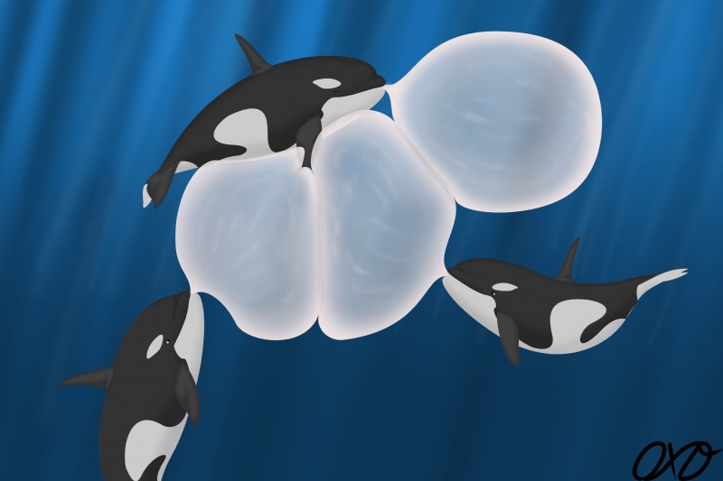 blowing_bubble_gum bubble bubble_gum bubble_support candy dessert feral food group gum inflating on_bubble simple_background what orcaxdragon cetacean dolphin mammal marine oceanic_dolphin orca toothed_whale absurd_res hi_res