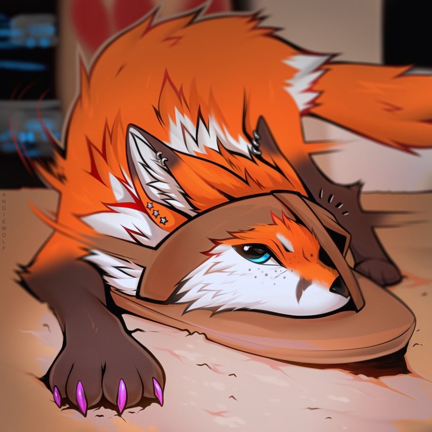 ambiguous_gender blue_eyes clothing ear_piercing ear_ring feral footwear fur inside looking_at_viewer orange_body orange_fur paws piercing ring_piercing sandals shoes solo white_body white_fur angiewolf canid canine fox mammal 1:1 2021 digital_media_(artwork) hi_res