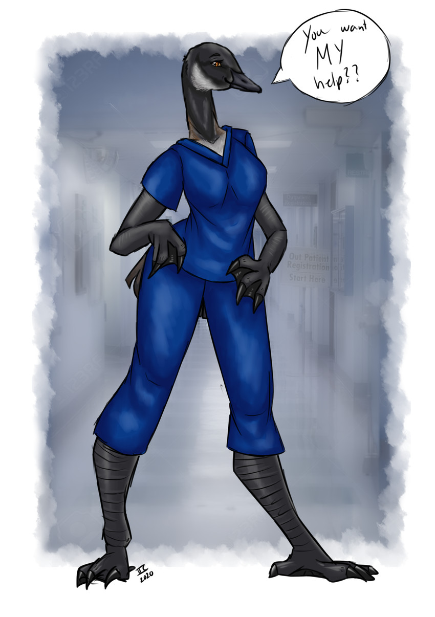 anthro beak black_beak black_claws claws clothed clothing dialogue doctor feet female hands_on_hips looking_at_viewer membrane_(anatomy) nurse scrubs smile smirk solo standing talking_to_viewer text toes uniform webbed_feet webbed_hands wide_hips tabascocat sam_(nedhorseman) anatid anseriform anserinae avian bird canada_goose goose 2020 absurd_res english_text hi_res