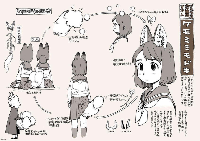 anatomy asian_clothing bob_cut chart cloak clothing east_asian_clothing entwined_tails female female/female flat_chested fluffy fluffy_tail group human_to_humanoid inner_ear_fluff japanese_clothing japanese_school_uniform life_cycle multi_tail parasite school_uniform serafuku species_transformation tail tail_coil text transformation tuft uniform young akai_sashimi animal_humanoid canid canid_humanoid canine canine_humanoid fox_humanoid human humanoid mammal mammal_humanoid 2020 japanese_text model_sheet monochrome translated