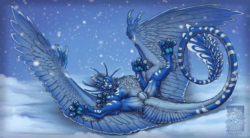 blue_body blue_feathers blue_fur feathered_wings feathers female feral fur genitals looking_at_viewer pussy snow snowing solo tail text wings keltaan mythology daiman_night_dragon_(keltaan) dragon feathered_dragon feathered_scalie furred_dragon furred_scalie mythological_creature mythological_scalie scalie 2021 digital_media_(artwork) english_text hi_res