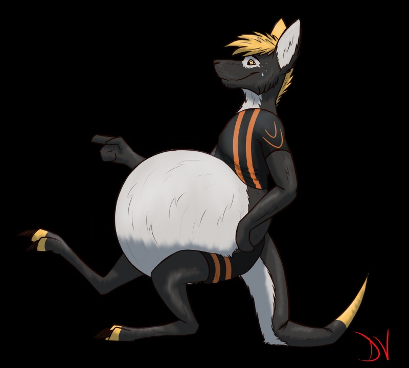 anthro belly bloated inflation male solo swollen devv swell kangaroo macropod mammal marsupial richard_(disambiguation) alpha_channel hi_res