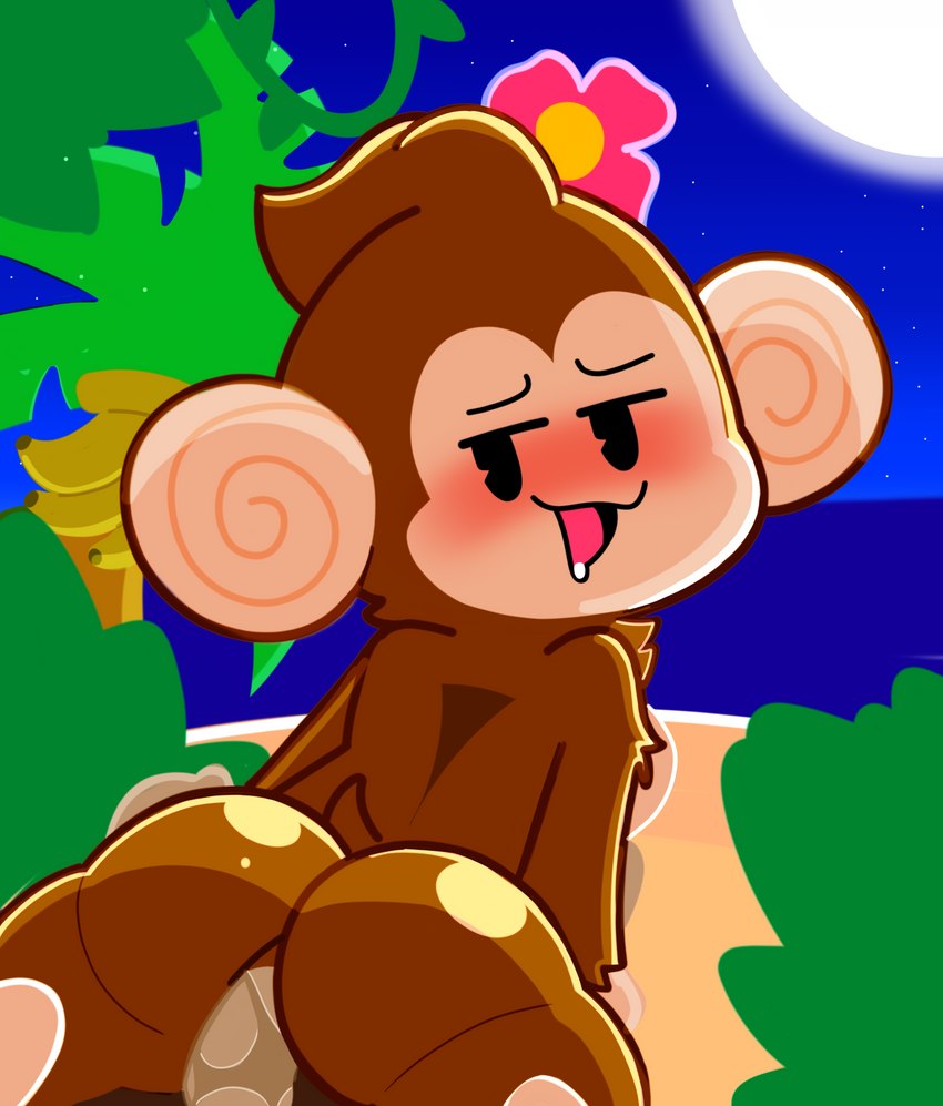 aiai and meemee (super monkey ball and etc) created by maio