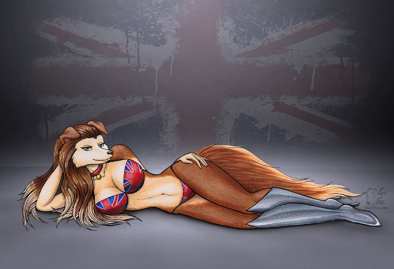 anthro big_breasts bikini biped blue_eyes breasts brown_body brown_fur brown_hair cleavage clothed clothing collar female flag_bikini fur hair looking_at_viewer lying navel on_side pose skimpy solo swimwear two-piece_swimsuit union_jack union_jack_bikini vani-fox road_rovers colleen_(road_rovers) canid canine canis collie domestic_dog herding_dog mammal pastoral_dog rough_collie sheepdog pinup