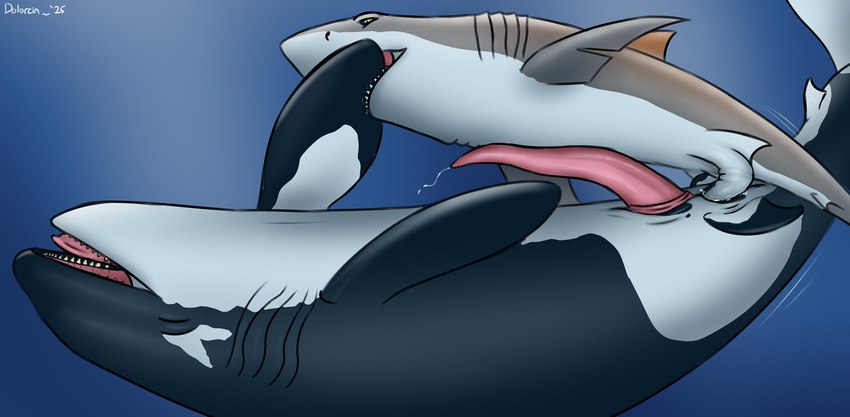 animal_genitalia animal_penis anus bite black_body bodily_fluids cetacean_genitalia cetacean_penis claspers countershading dorsal_fin duo erection eyes_closed feral feral_on_feral feral_penetrated feral_penetrating feral_penetrating_feral fin genital_fluids genital_slit genitals gills grey_body herm herm/male herm_feral herm_penetrated intersex intersex/male intersex_feral intersex_penetrated interspecies larger_herm larger_intersex larger_penetrated looking_pleasured male male_feral male_penetrating male_penetrating_herm male_penetrating_intersex motion_lines notched_fin open_mouth pectoral_fin penetration penile penile_penetration penis penis_in_pussy precum pussy sex size_difference smaller_male tapering_penis underwater vaginal vaginal_penetration water white_body year yellow_eyes dolorcin marmire cetacean dolphin fish great_white_shark hybrid mackerel_shark mammal marine oceanic_dolphin orca shark toothed_whale white_shark 2025