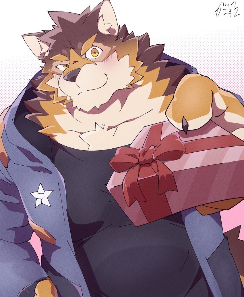 anthro blush box container countershading first_person_view gift_bow gift_box looking_at_viewer male muscular muscular_anthro muscular_male solo sakehabera lifewonders live_a_hero barrel_(live_a_hero) canid canine canis mammal wolf hi_res