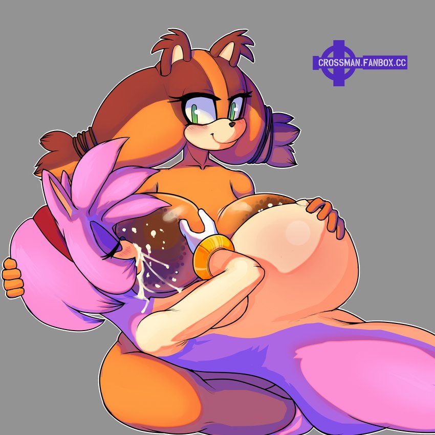 big_breasts bodily_fluids breastfeeding breasts duo female female/female inflation lactating milk milk_inflation nipples crossman sega sonic_boom sonic_the_hedgehog_(series) amy_rose sticks_the_jungle_badger badger eulipotyphlan hedgehog mammal mustelid musteline 1:1 absurd_res hi_res