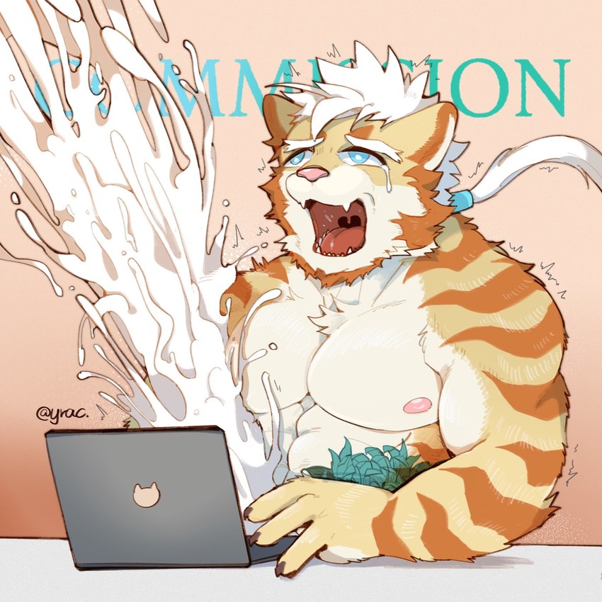 abs anthro barazoku biceps big_muscles blue_eyes bodily_fluids cat_print cheek_tuft chest_tuft claws computer cum cum_cannon cumshot ejaculation electronics excessive_cum excessive_genital_fluids eye_roll facial_tuft front_view gaping_mouth genital_fluids hair huge_muscles hyper hyper_cum laptop looking_pleasured male muscular nipples nude open_mouth orange_stripes orgasm_face pecs ponytail sharp_teeth simple_background solo stripes tan_background tattoo tears tears_of_pleasure teeth triceps tuft uvula white_hair yrac felid feline mammal 1:1 2022 hi_res icon reaction_image