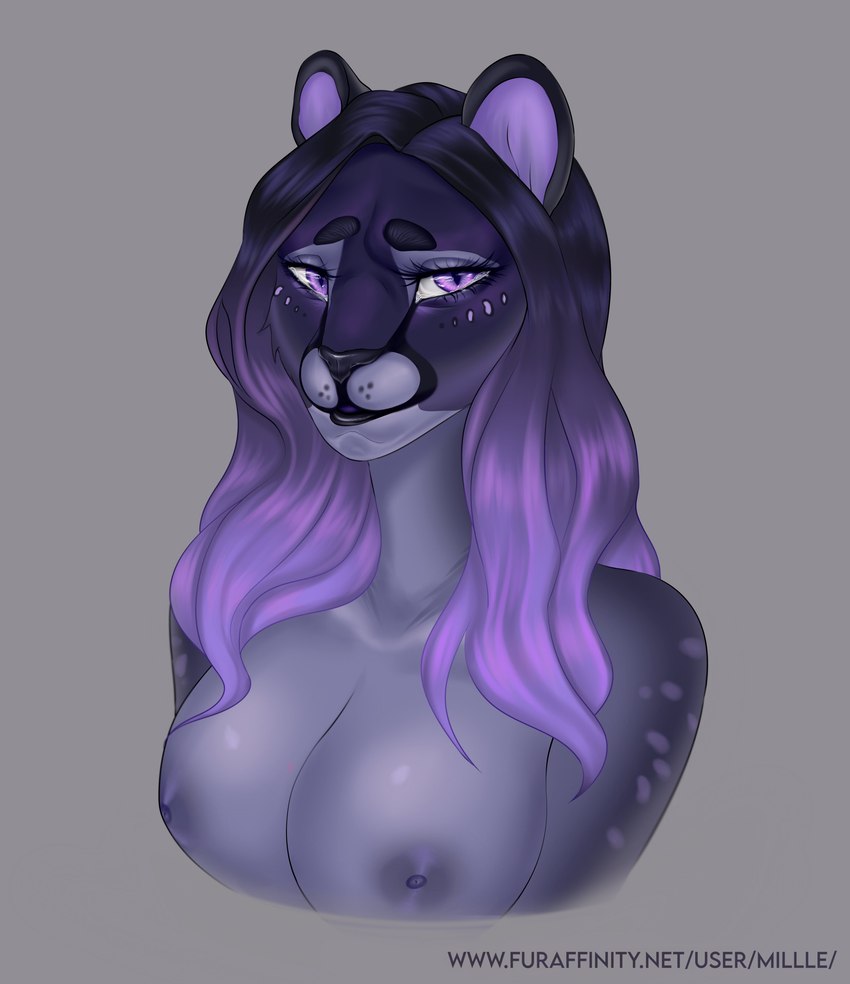 anthro breasts female fur gradient_hair grey_background hair looking_at_viewer nipples purple_eyes purple_hair purple_nipples simple_background solo text millle felid jaguar mammal pantherine 2021 absurd_res digital_media_(artwork) half-length_portrait hi_res portrait url