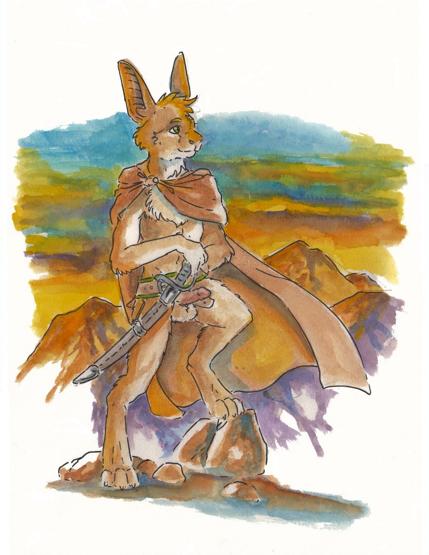 anthro balls bat_ears belt bottomless bottomless_anthro bottomless_male casual_erection casual_exposure casual_nudity chest_tuft cloak clothed clothing erection fur genitals green_eyes hand_on_sword humanoid_genitalia humanoid_penis male melee_weapon mostly_nude mountain penis solo sunrise sword tan_body tan_fur tuft weapon heather_bruton turo_of_akesh bat desert_bat mammal wingless_bat hi_res traditional_media_(artwork)