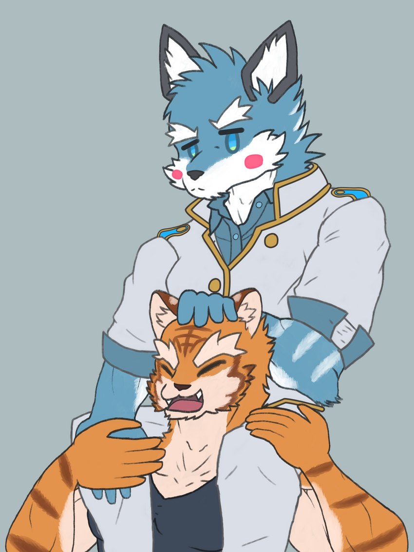 anthro blue_body blue_fur clothing duo fur male orange_body orange_fur school_uniform simple_background sitting_on_shoulders uniform blossomingruin knights_college argo_northrop grantly_bell canid canine canis felid mammal pantherine tiger wolf 3:4 absurd_res flat_colors hi_res