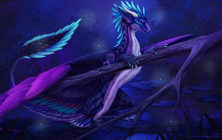 ambiguous_feral ambiguous_gender blue_body blue_feathers ears_up environment feathered_wings feathers feral fluffy fluffy_tail horn lilies paws plant purple_body purple_eyes purple_feathers quadruped solo tail tree water white_body wings ztalex mythology dragon mythological_creature mythological_scalie scalie absurd_res hi_res male_(lore)