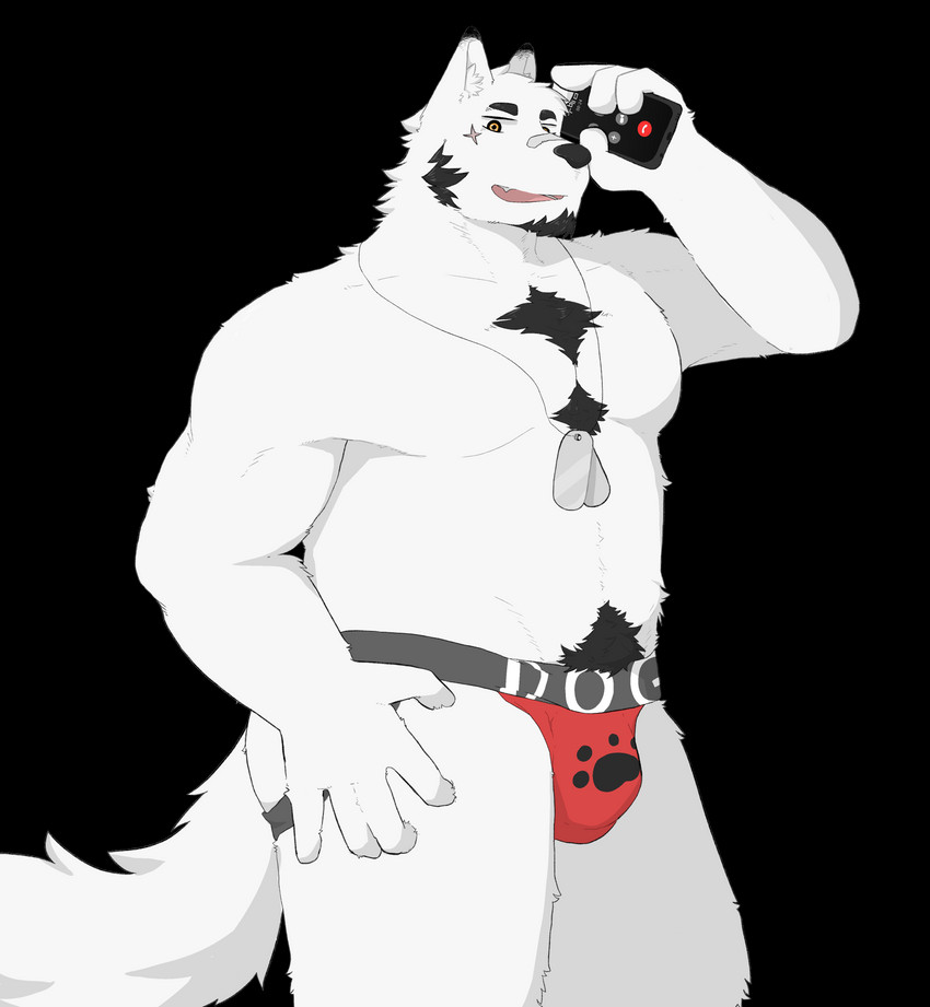 anthro belly bulge clothing fur jockstrap kemono male pubes simple_background slightly_chubby solo transparent_background underwear white_body white_fur hagom canid canine canis domestic_dog mammal 2020 absurd_res alpha_channel hi_res